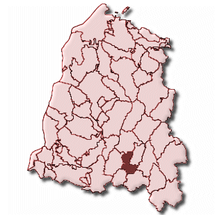 Haslach im Kinzigtal, Stadt