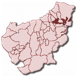 Schönau im Schwarzwald, Stadt