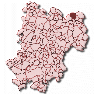 Stein-Neukirch