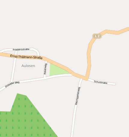 Aulosen
