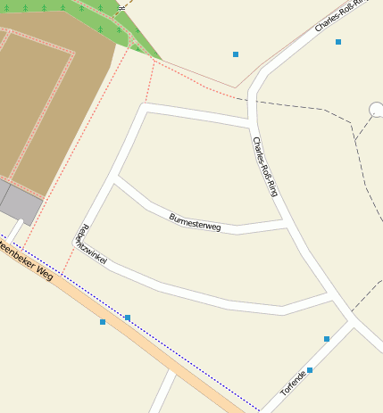 Burmesterweg