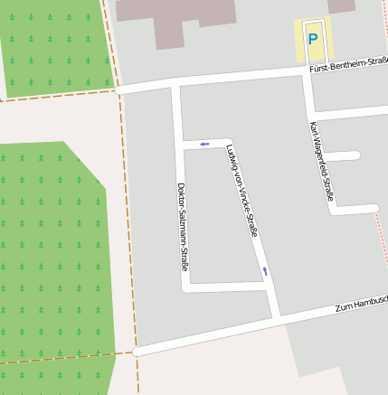 Dr.-Salzmann-Str.