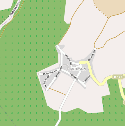 Dürrholz