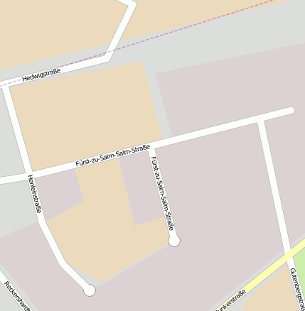 Fürst-zu-Salm-Salm-Str.