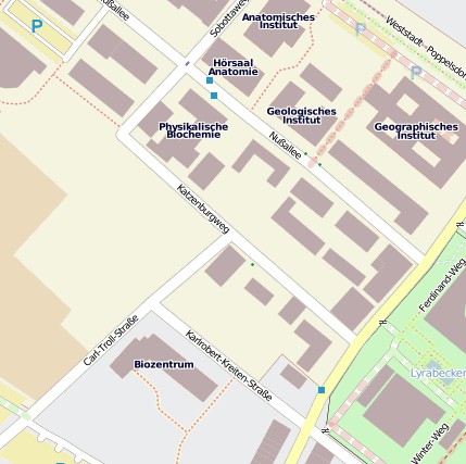 Katzenburgweg