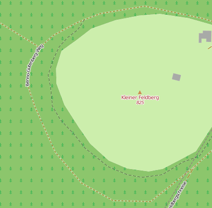 Kleiner Feldberg