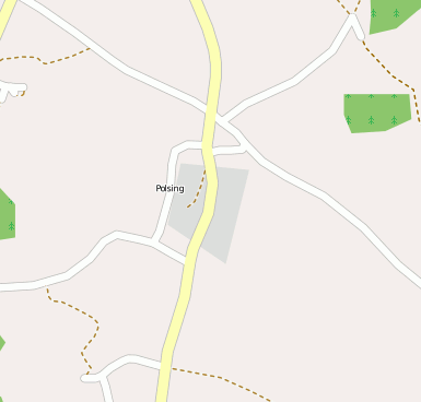 Polsing