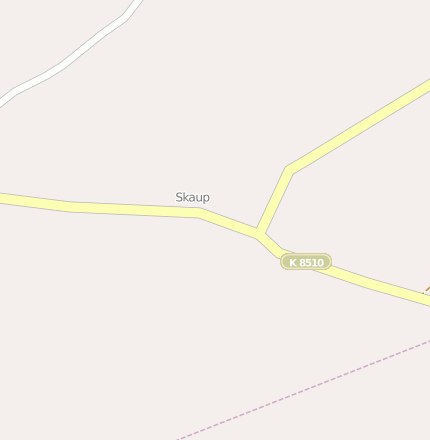 Skaup