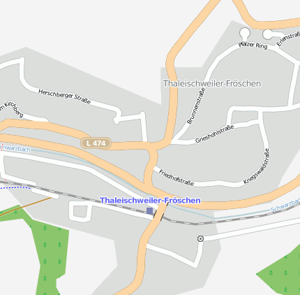 Thaleischweiler-Fröschen