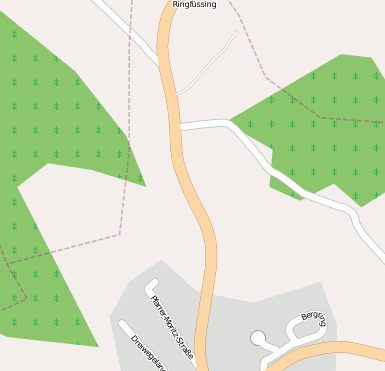 Ringfüssing