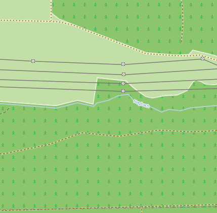 Nauheimer Oberwald